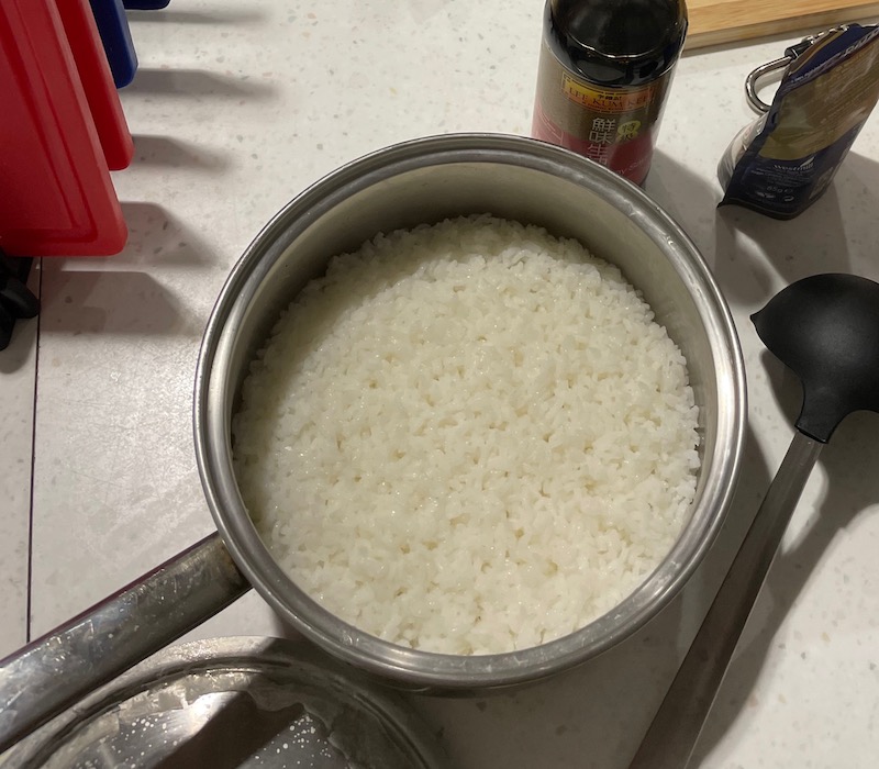 rice_regularPot